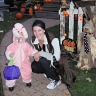 Fall Means Colour And Halloween!